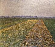 Gustave Caillebotte, Yellow field